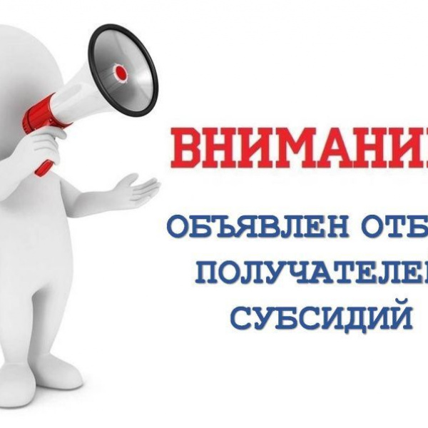 Старт конкурсного отбора на предоставление субсидий в 2025 году